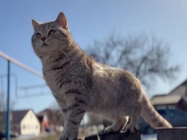 Природа уже тихо напоминает - весна рядом