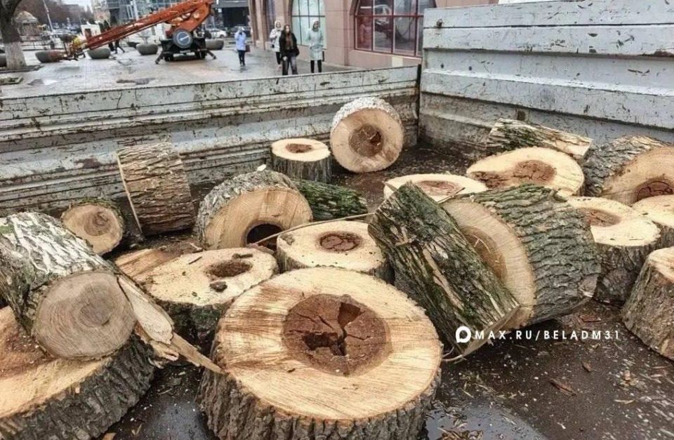 ����������� ��������� � ������ ������� ���������