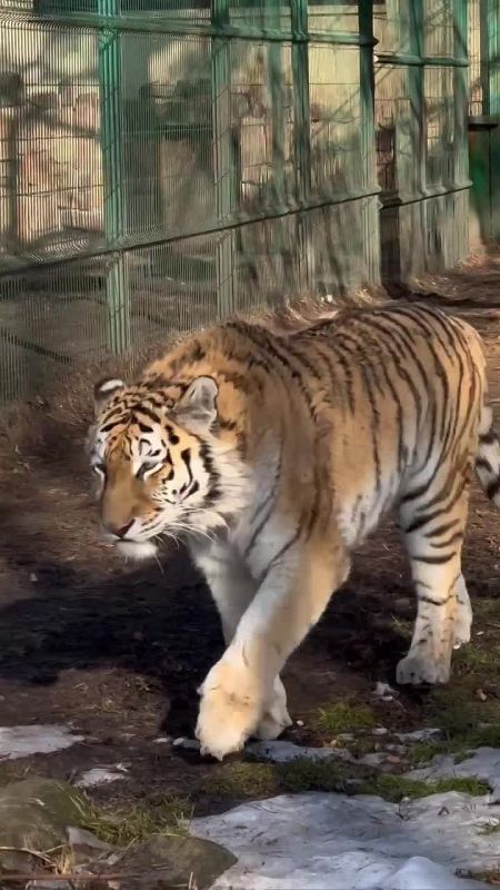 ������ ���� �� ������� ������!