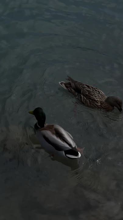 ������ 22 �����. ������� ��������� ������� ����� ������