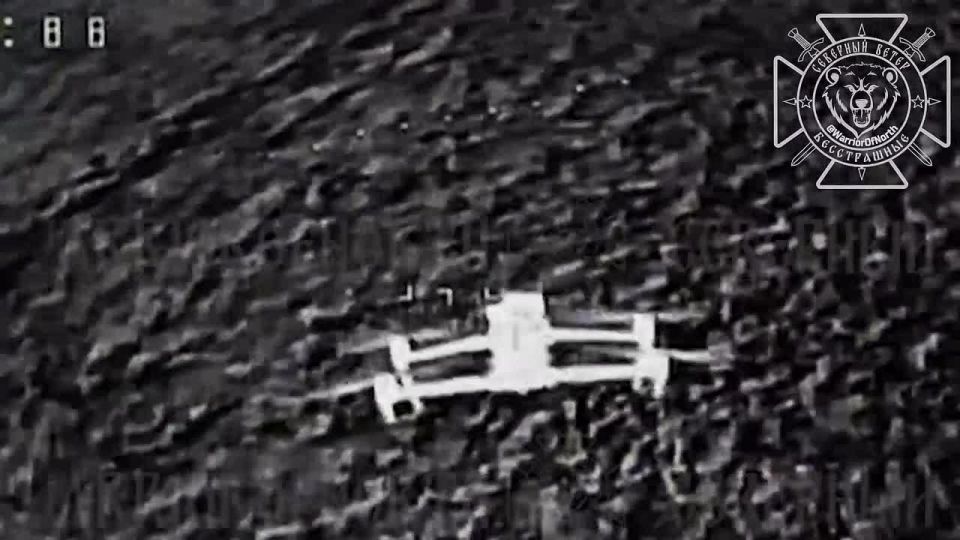 �������� �������: ����� ����������� ������ ��� � �����������