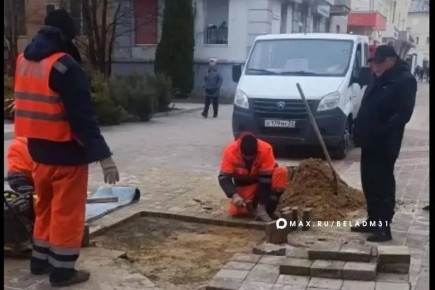 �� ������������ ������ ������������ ��������������� ��������