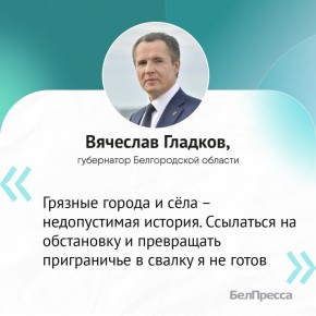 Вячеслав Гладков раскритиковал ремонт белгородских дорог и уборку улиц