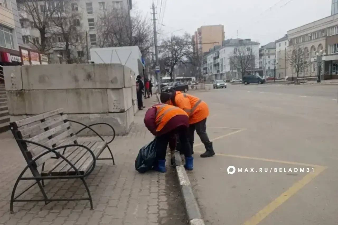 Белгородские коммунальные службы продолжают весеннюю уборку Белгородские коммунальные службы продолжают весеннюю уборку