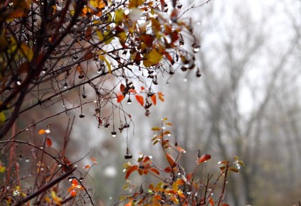 С добрым утром, белгородцы!