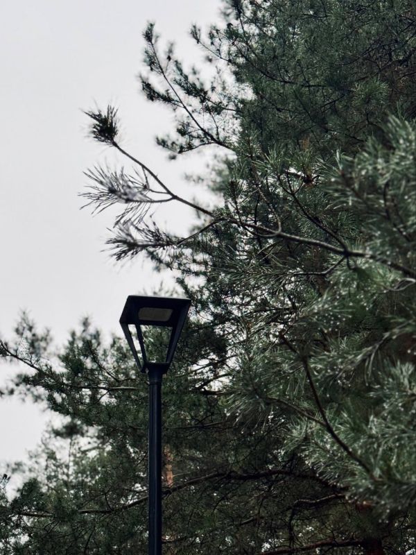 ������ 23 �����. ������� ��������� ������� ����� ������