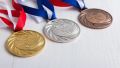 В 2025 году белгородские спортсмены завоевали 1 539 медалей