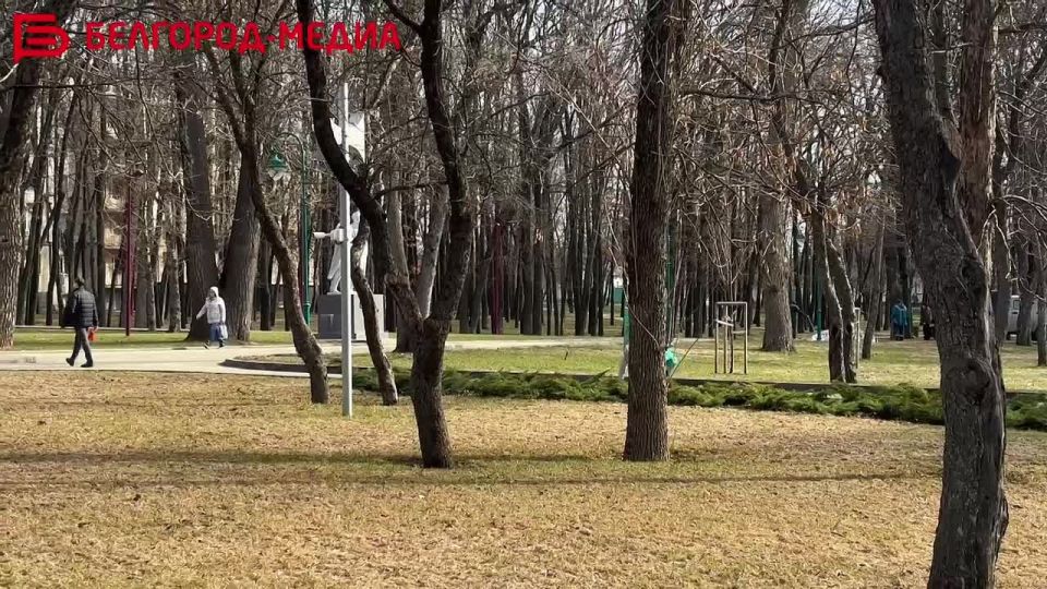 Гулять без спешки, ловить солнечные лучи и дышать тёплым воздухом