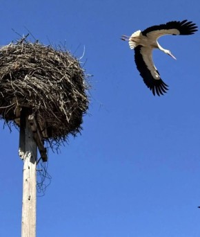 ����� ����������: ����� � ������������ �����������