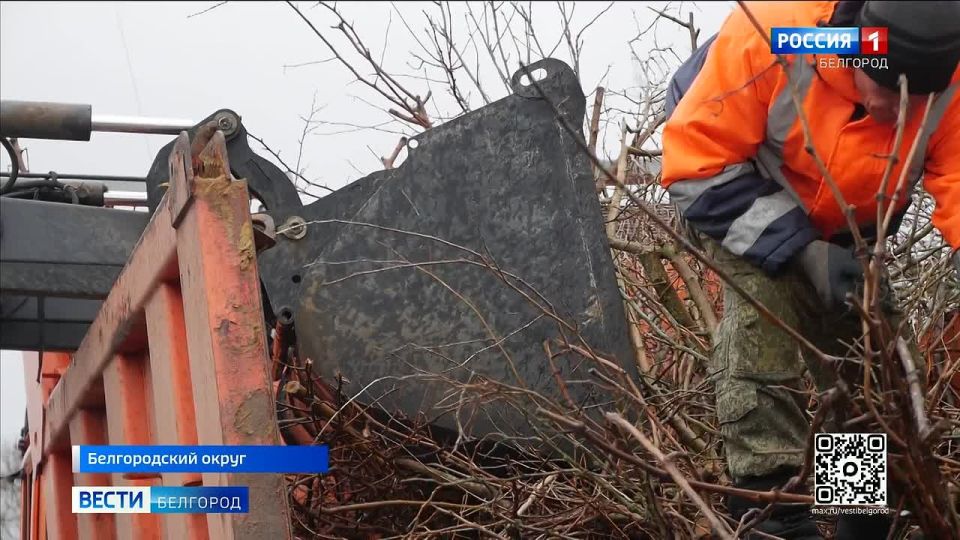 ������� ����� � ��������, ������ �� ���������� �������, ��������� ������� ������: ������������� � ������� �������� � ������ ����