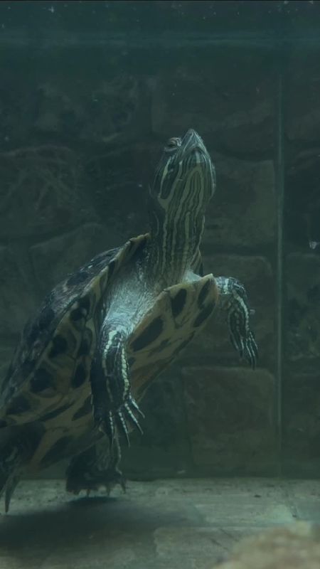 ������ ����, ������� ����������!