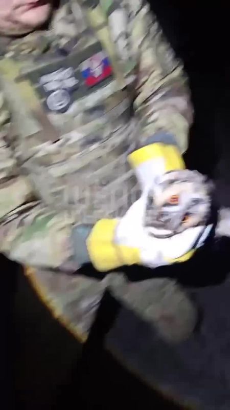 ���� ������� � ������������ ����