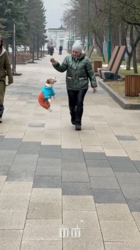 ������ 24 �����. ������� ��������� ������� �������� ������