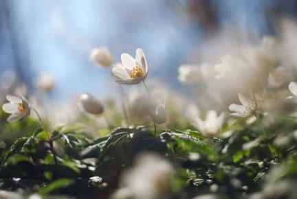 Доброе утро, Белгород!. Сегодня 24 марта облачно с прояснениями