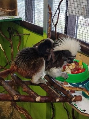 � ������������ �������� ����� ����������! �� ���� ��� ���������� ����� ������� �������� ��� � �������