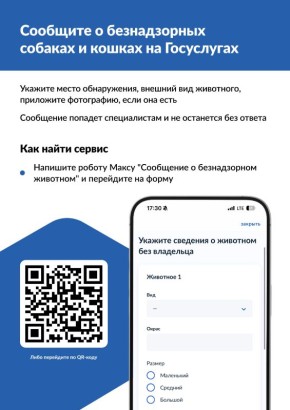 ������� ��������� ��������? ������ � ��� ����� �������� �� ���������� �� ��� ������