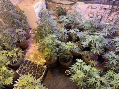 ������ ������������� ������ ������������� � ���������� ��������������� �������