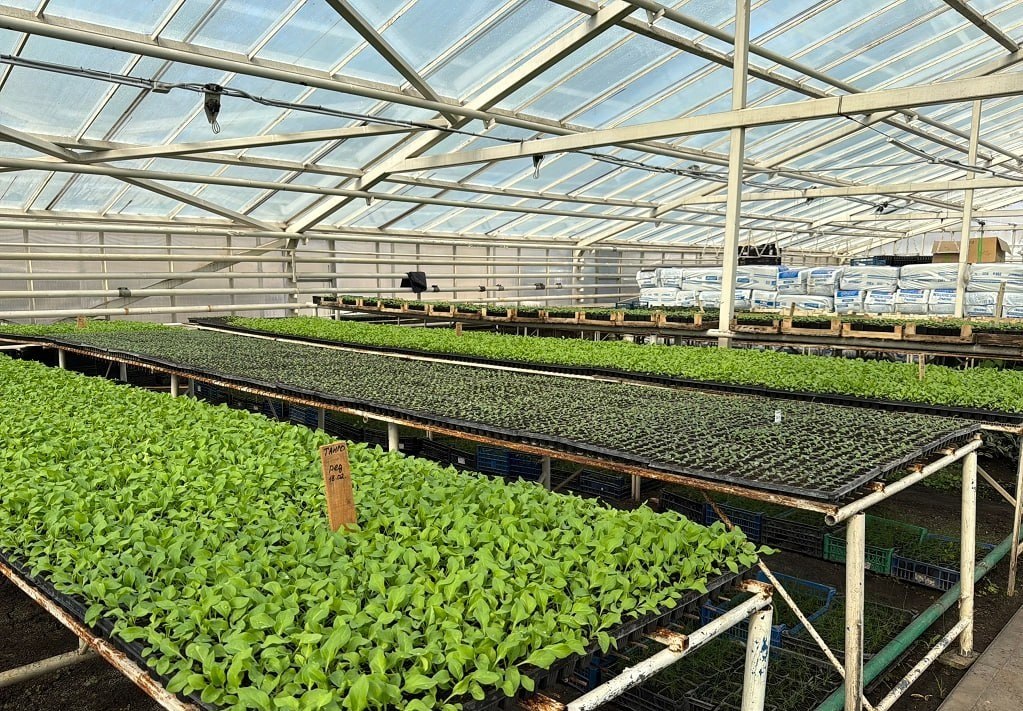 В Губкине готовятся к весеннему озеленению города