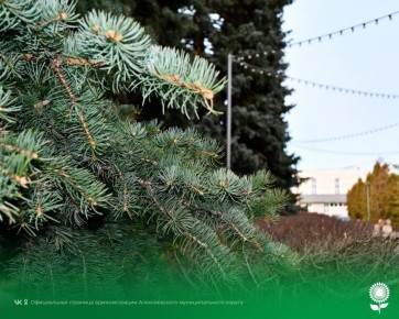 25 �����. ����������� ������� 9�C, �������, ��� �������