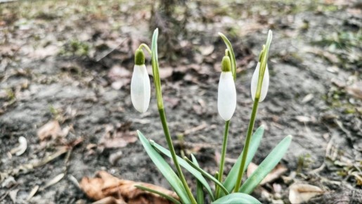 �������, 26 �����, ����� ���������� ����������