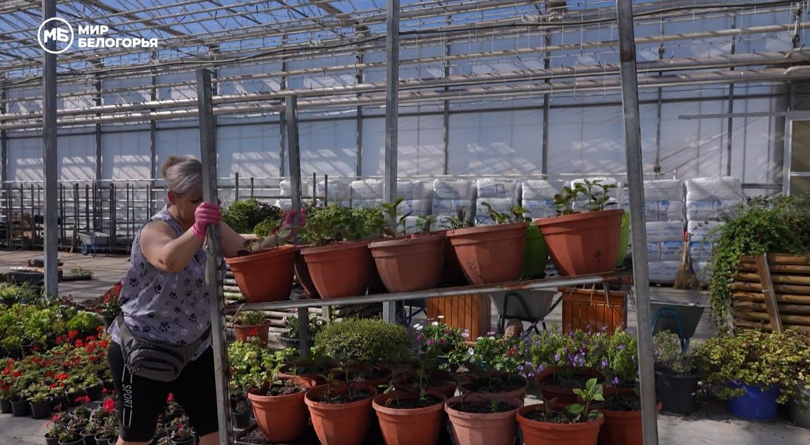 В Белгороде готовятся к цветочному сезону В Белгороде готовятся к цветочному сезону