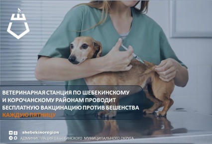 Бешенство – это опаснейшее, смертельное и неизлечимое заболевание