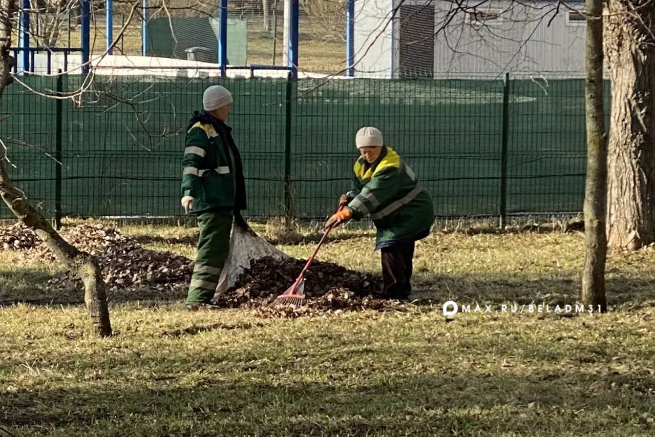 Уборка в городе приближает весну! Уборка в городе приближает весну!
