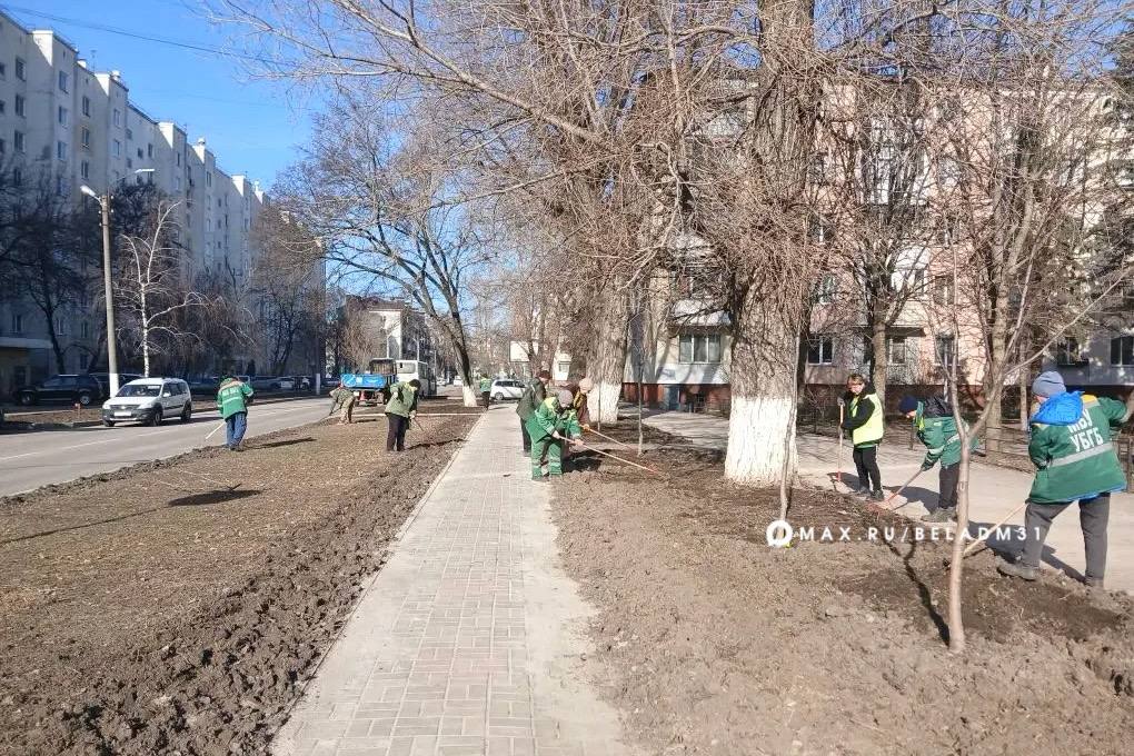 Уборка в городе приближает весну! Уборка в городе приближает весну!