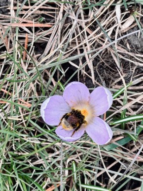 ������ 26 �����. ������� ��������� ������� �������� ������