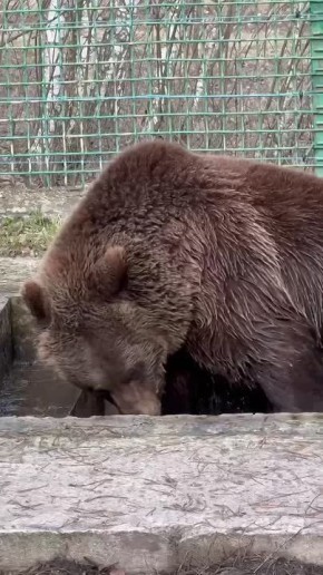 ��������� �������� ������ �����, ����� ������� ��� ����������!