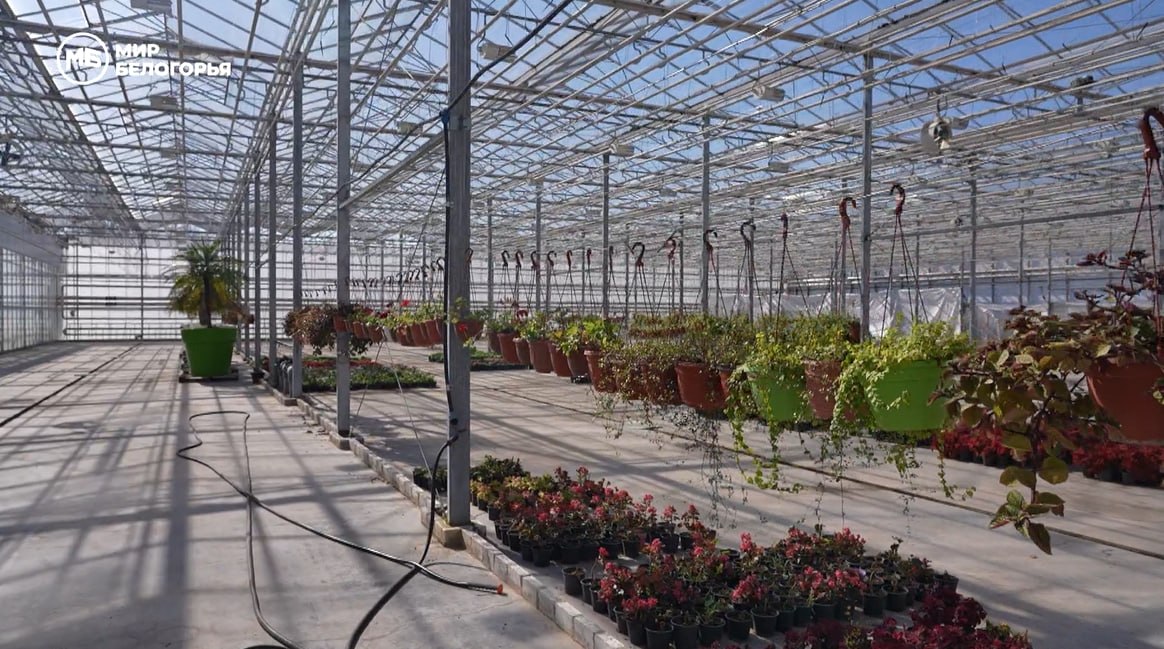 В Белгороде готовятся к цветочному сезону В Белгороде готовятся к цветочному сезону