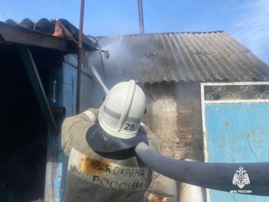 �� ��������� ����� �� ���������� ������� ���������������� 10 �������, 1 �� ������� ��������� � ����� ���������