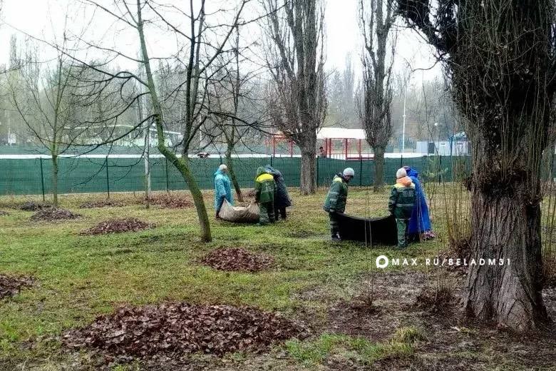 Сегодня в городе пасмурно и сыро, но наши коммунальные службы продолжают наводить порядок на улицах