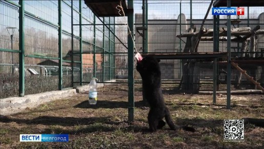 1234 �� ������������ ������, ������ � ��� ������