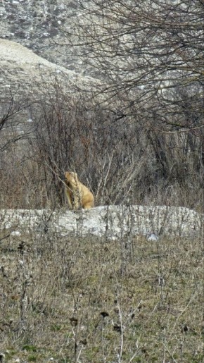 ������, ��������� ���������� ������ ������ ��������� � ��������!