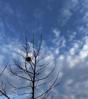 Погода 27 марта. Сегодня синоптики обещают облачную погоду и дождь