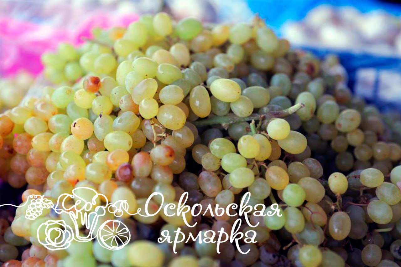 Фермерская ярмарка в Старом Осколе!