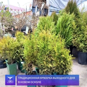 ������ �������: ������������ ������� ��������� ���, �������������� ������������ ������� ���������� ���������, �������� � ����� ������