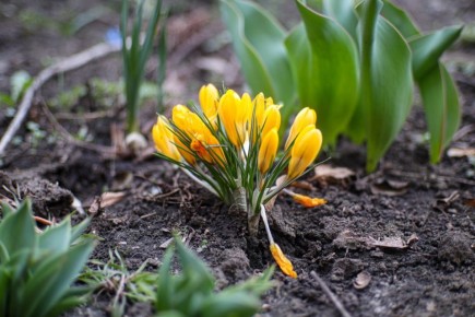 Погода 28 марта. Сегодня синоптики обещают облачную погоду