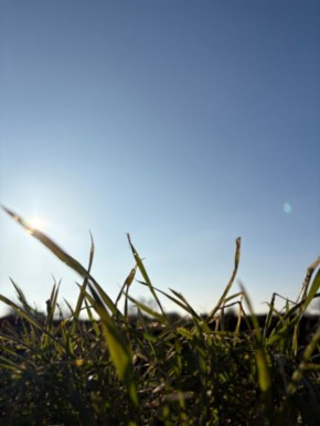 ����� - ��� �����, ����� ������� ����������� �� ������� ���, ����� �������� ��� ����� ������ � ����� �������