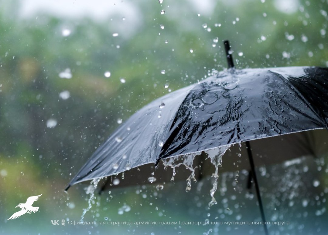 В выходные жителей региона ожидают небольшие дожди