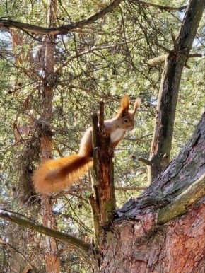 � �����������, 29 �����, ����� �������� � ������������ ������