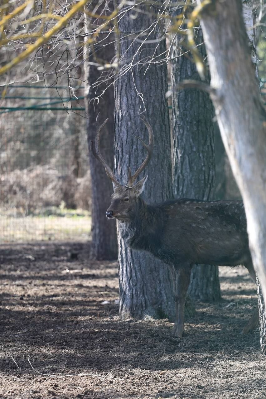 Весна с летним оттенком. Заряжаемся отличным настроением перед рабочей неделей вместе с пушистыми обитателями белгородского зоопарка Весна с летним оттенком. Заряжаемся отличным настроением перед рабочей неделей вместе с пушистыми обитателями белгородского зоопарка