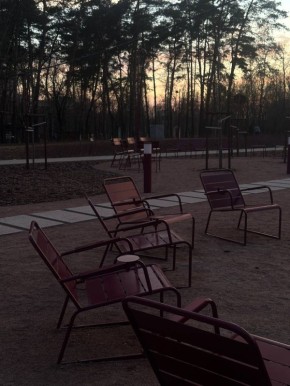 Парк Ленина в лучах вечернего заката