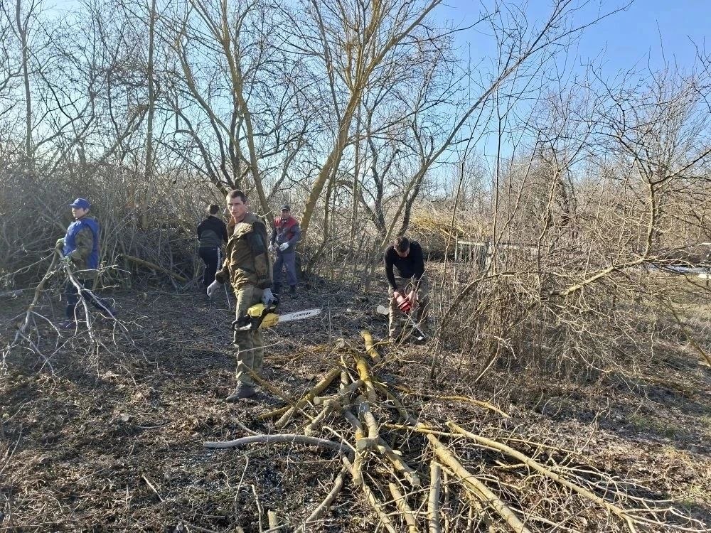 Владимир Переверзев: В месячнике добровольного служения в Борисовском округе участвует практически всё население Владимир Переверзев: В месячнике добровольного служения в Борисовском округе участвует практически всё население