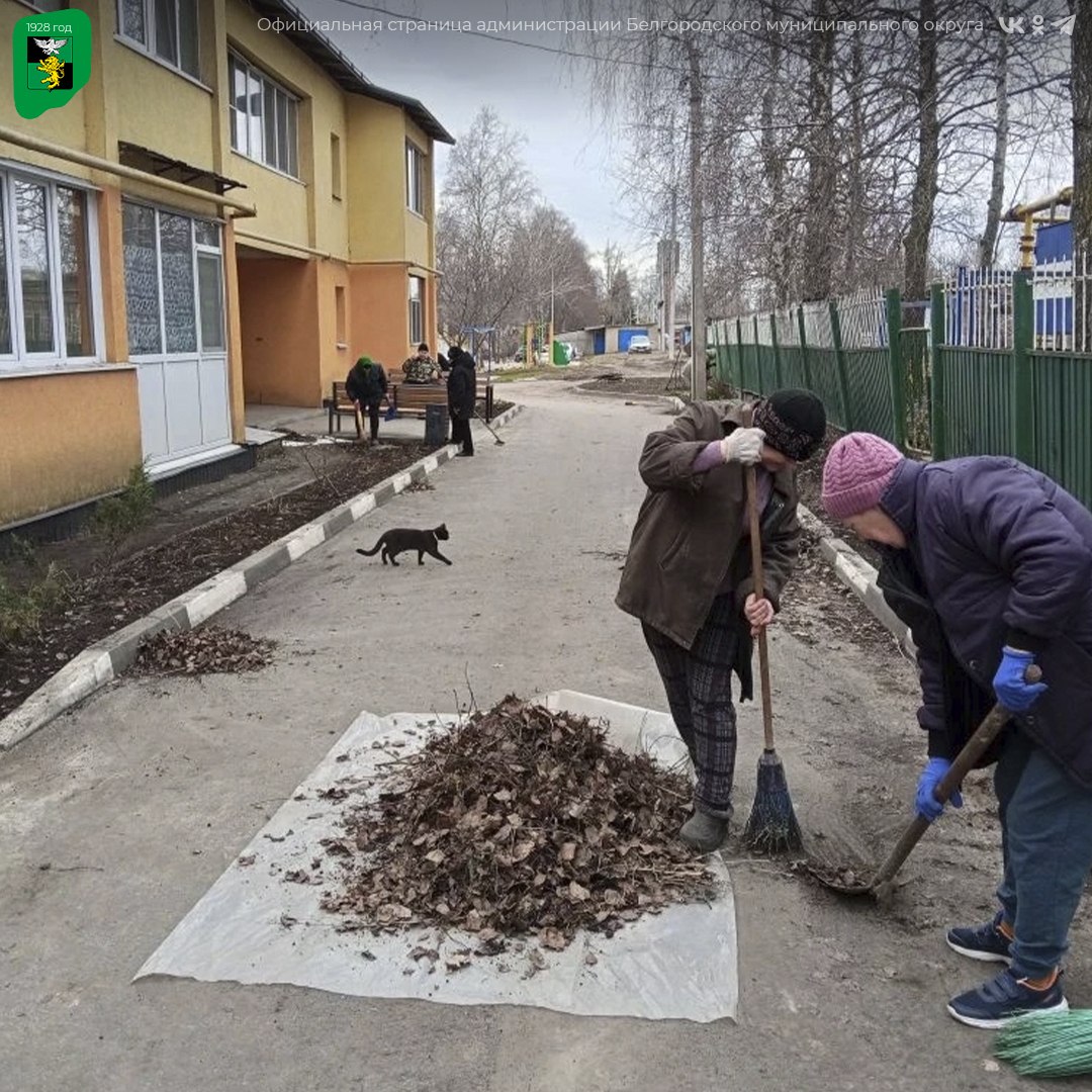 Коммунальные службы сельских поселений проводят масштабные работы по очистке территорий Коммунальные службы сельских поселений проводят масштабные работы по очистке территорий