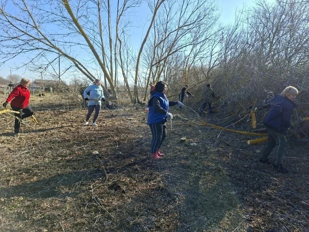 Владимир Переверзев: В месячнике добровольного служения в Борисовском округе участвует практически всё население Владимир Переверзев: В месячнике добровольного служения в Борисовском округе участвует практически всё население