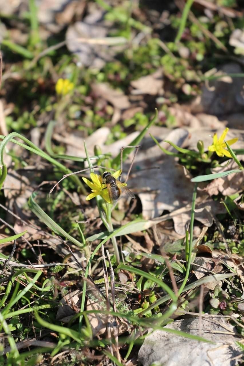 Весна с летним оттенком. Заряжаемся отличным настроением перед рабочей неделей вместе с пушистыми обитателями белгородского зоопарка Весна с летним оттенком. Заряжаемся отличным настроением перед рабочей неделей вместе с пушистыми обитателями белгородского зоопарка