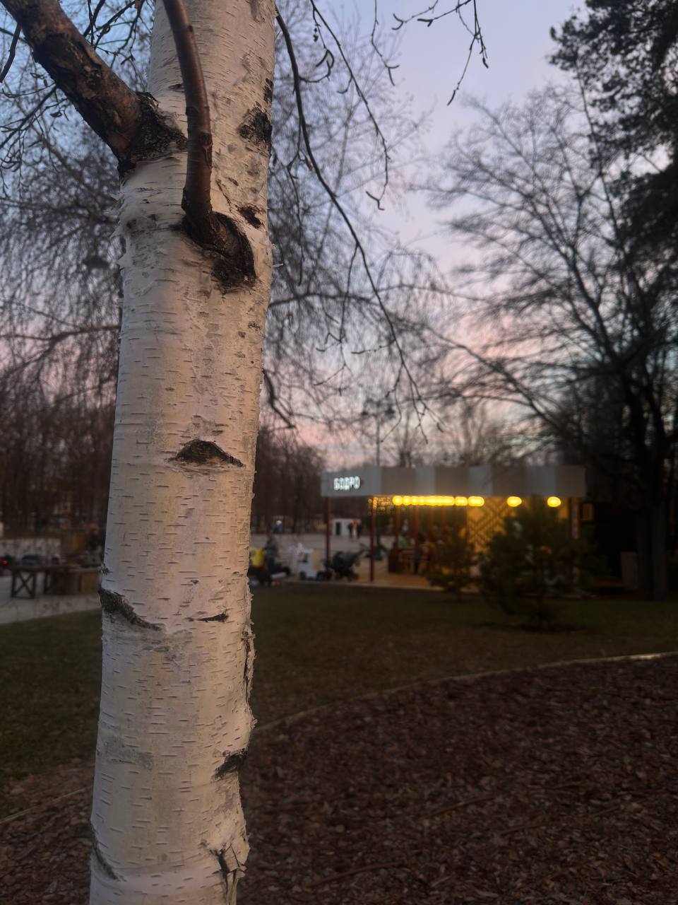 Парк Ленина в лучах вечернего заката Парк Ленина в лучах вечернего заката