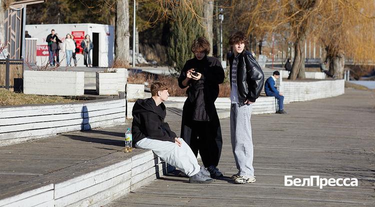 IT-отрасль признали самой высокооплачиваемой сферой деятельности в Белгородской области